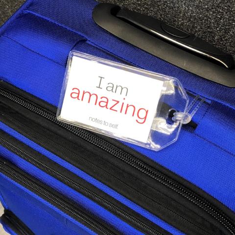 i am awesome and amazing luggage tag